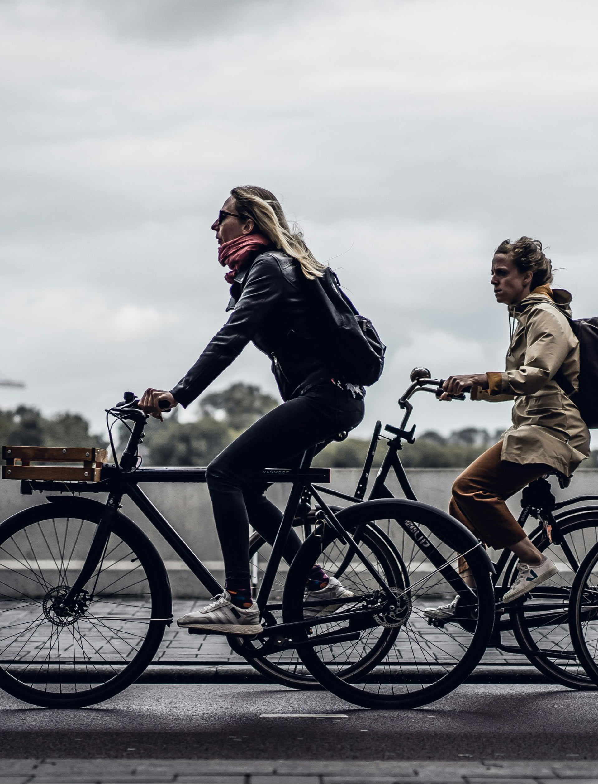 Two women riding bicycles on a city street.